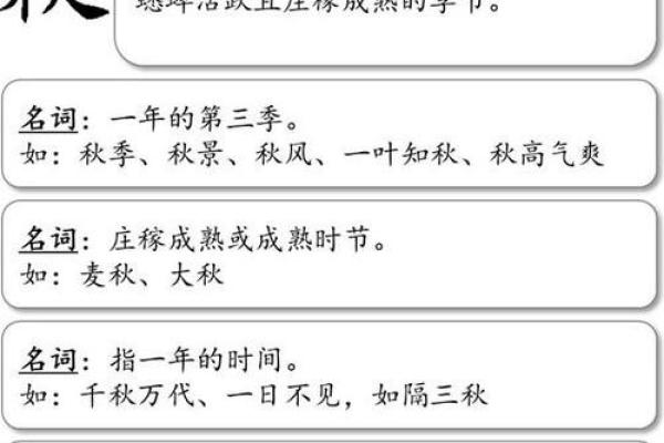 男性龙凤命的深刻含义与生活影响解析