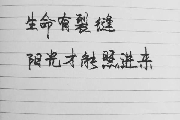 没有子女的命运：怎样的生活揭示了不一样的人生意义？
