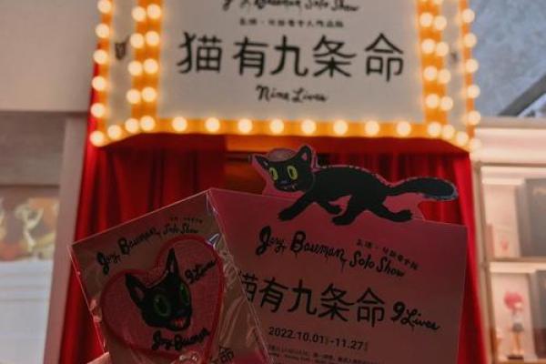 猫的神秘之旅：揭秘“猫有九条命”的传说与现实