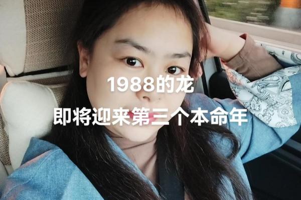 六月出生的龙命：赋予命运的独特魅力与智慧