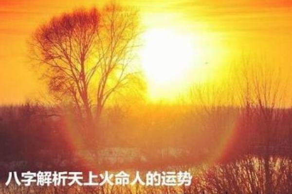 探索命理的奥秘：命1与命4的深刻意涵解析