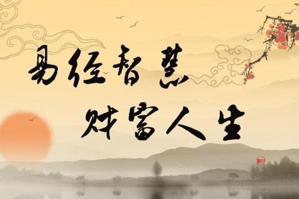 探秘坎命四命：揭开命运之谜，寻求人生智慧