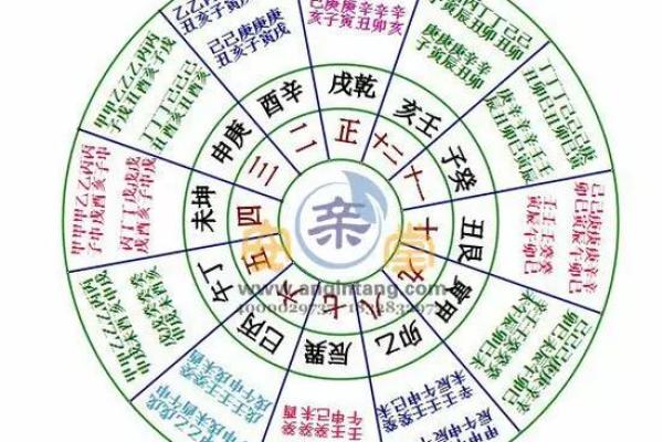 路旁土属马与最佳命格的完美配搭探索