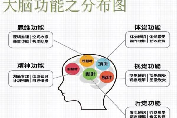 六命之后五命的深刻解读与人生启示