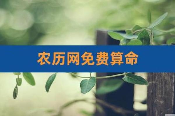 探索农历十几二十：命理背后的秘密与启示