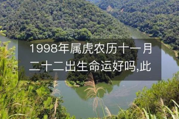 2024年虎年：看命理如何解析明年运势与生活智慧
