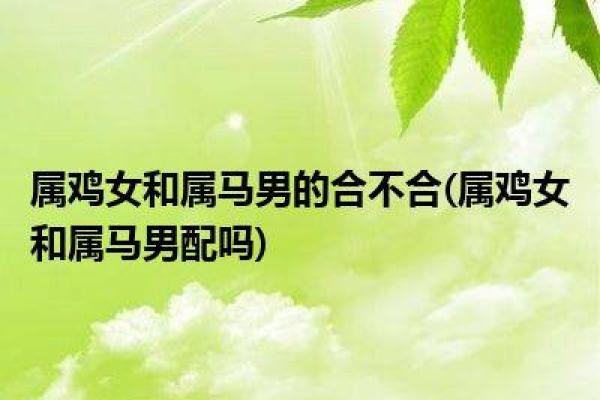 揭示属鸡女性命理：智慧与魅力的完美结合