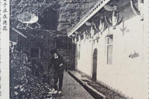 木魂生辉：解读命名中“木”字的深远意义与人生启示