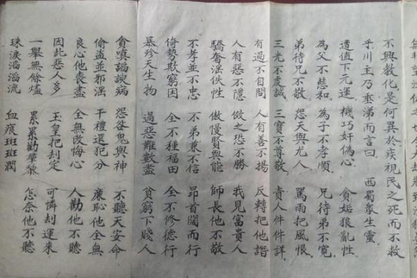 戊午女命：适合的职业与发展方向分析