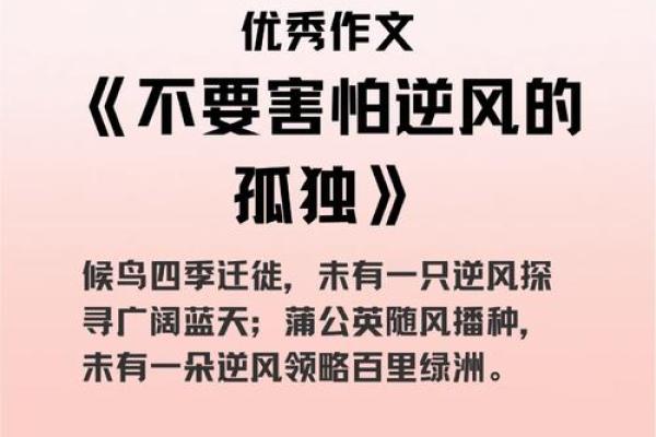 命带国印的男人：探索隐秘象征与人生旅程的奇妙关系