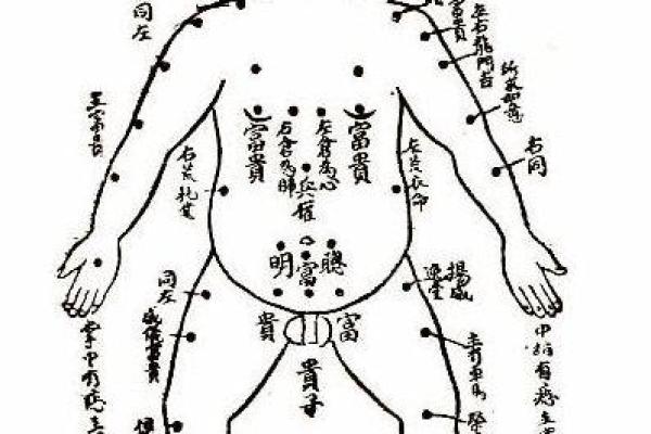 六月出生的孩子命理解析：夏日宝宝的命运与特点