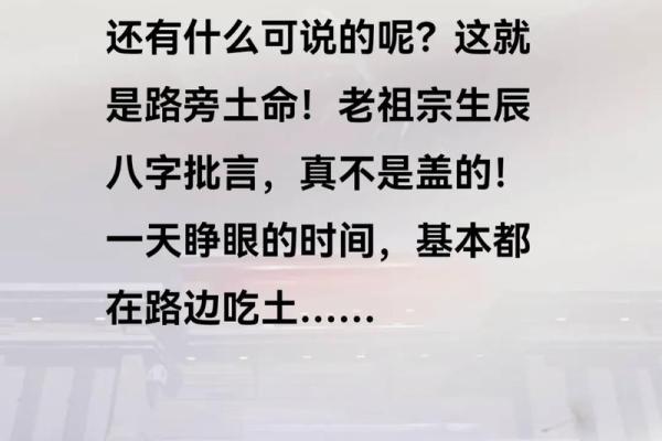 路旁土命在西南的最佳发展方向与生活建议