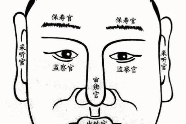 命格辰垣的深意解析：探索命理与人生运势的奥秘