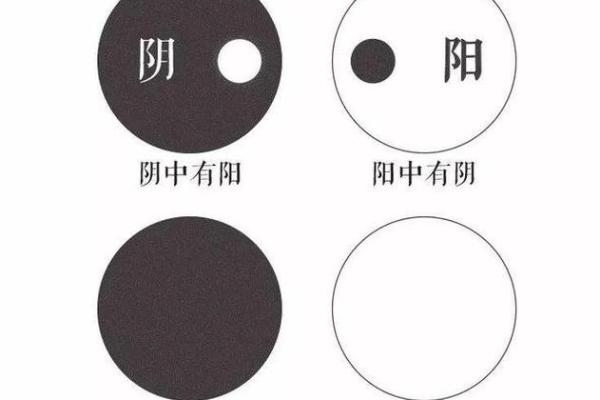 命格阴中有阳：探寻人生的和谐与平衡之道