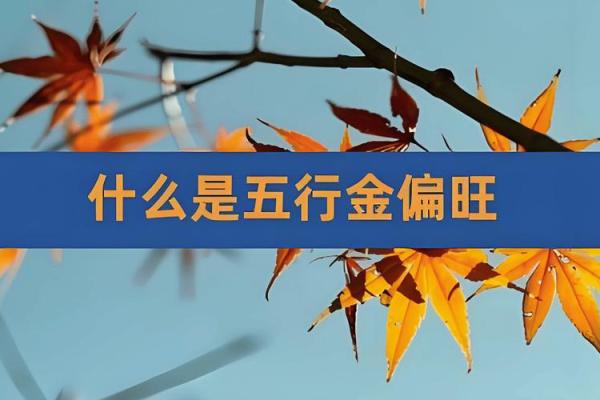 龙男金命与哪些命相配最佳？探寻命理学中的理想组合