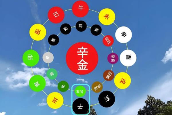 龙男金命与哪些命相配最佳？探寻命理学中的理想组合