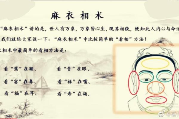 女人相貌与聪明命运的辩证关系探讨