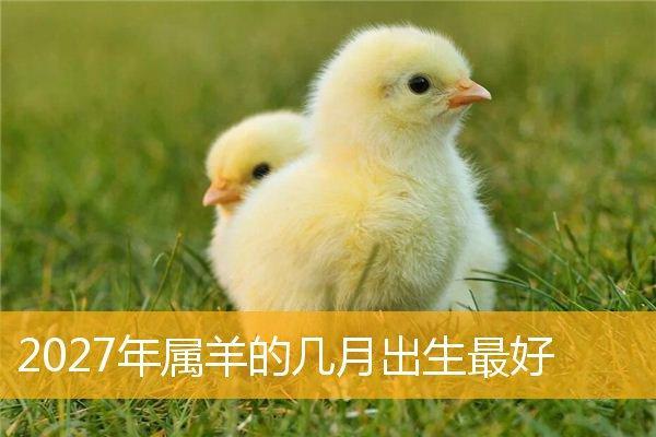 命不强的男人与属羊的魅力探讨