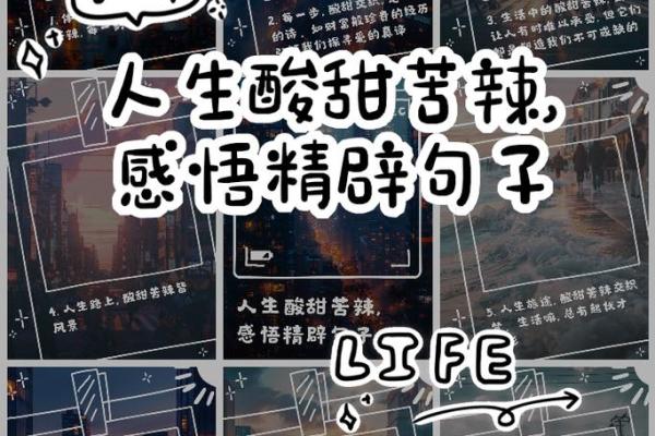 命怯运佳：人生中的勇气与机遇交织之美