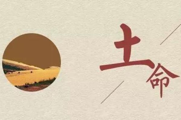 男大溪水命与土命的完美结合：人生的和谐美好之路