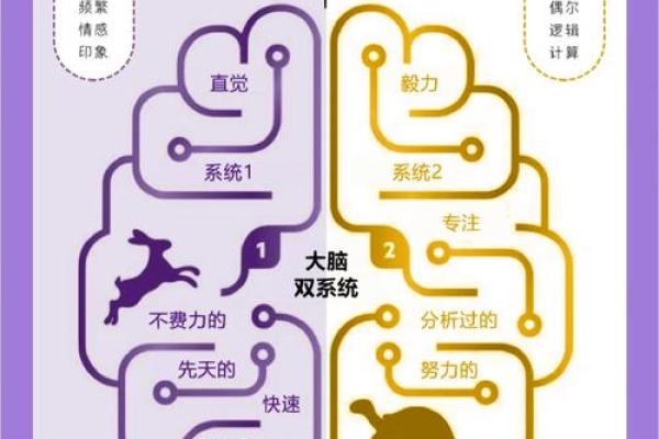 1990年出生的命运探秘：他们的人生轨迹与机遇