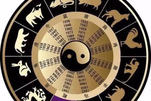 木命鼠适合开什么颜色车？揭秘最佳选择！