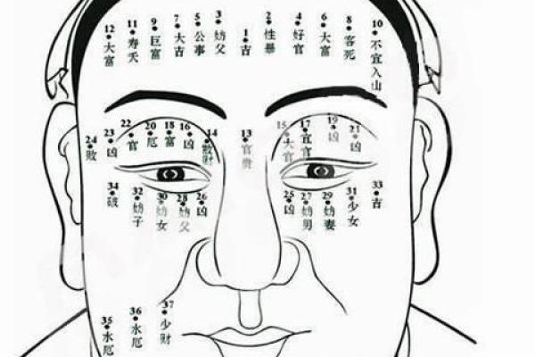 眉毛与财富：解读女人眉型的命运密码