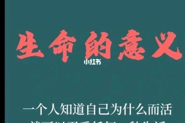 女命无财无印，如何解读人生的潜在意义？