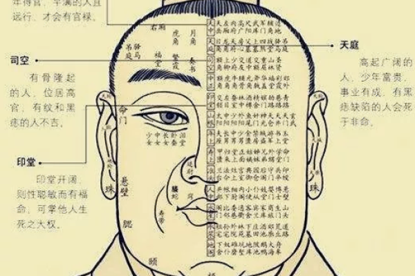 揭开女命孤辰勾煞的神秘面纱：命理中的深层解析与人生影响