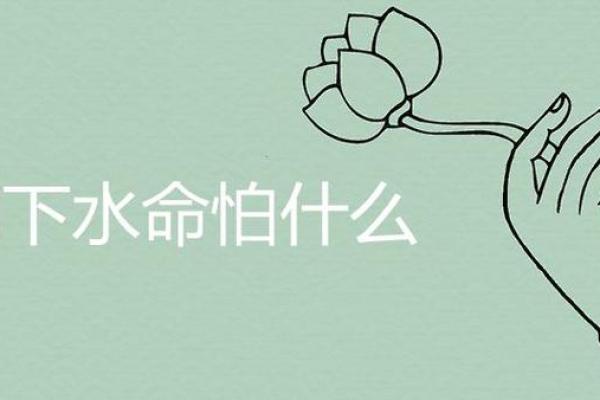 探究女涧下水命与其他命格的完美结合之道