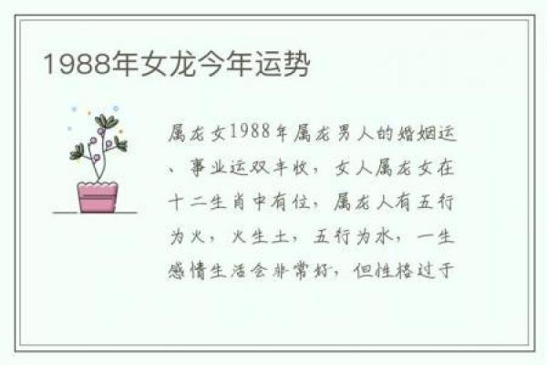 探索龙年的命理：揭秘属龙人的性格与命运