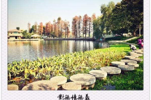 命运的阴霾：解析运气不好的深层含义与应对策略