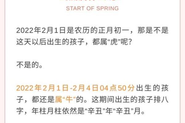 98年农历出生的命运解析：属虎人的性格与运势揭秘