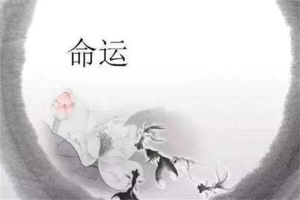 命局最佳特征：探寻命理中的成功之道和人格魅力