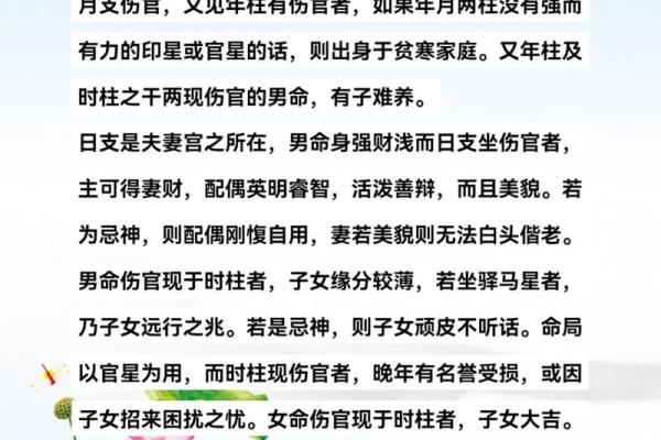 伤官在八字命理中的深刻含义与影响分析