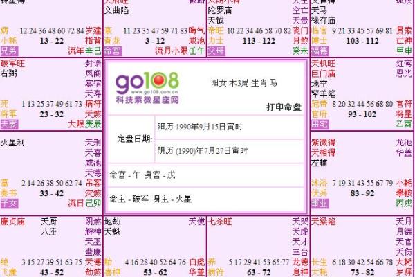 探索命盘的秘密：解读个人命运与性格的钥匙