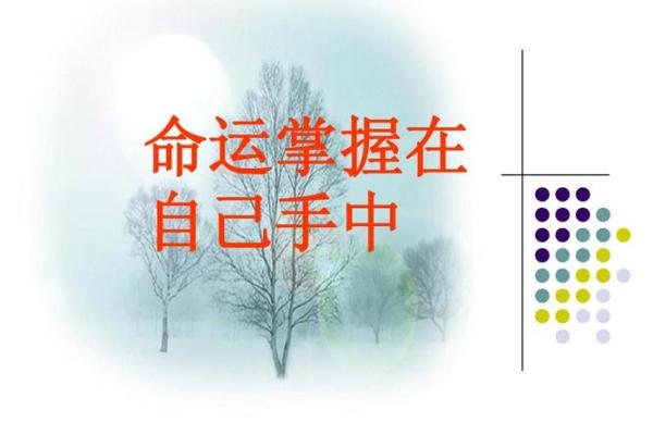 命运掌握在自己手中，勇敢追梦的心路历程