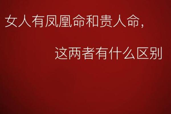 母命之中命：命运与母亲之间的深刻联系