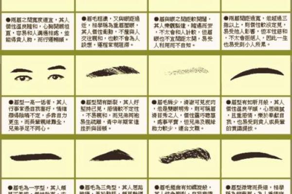 眉毛与命运：揭示女性命运的面相之谜