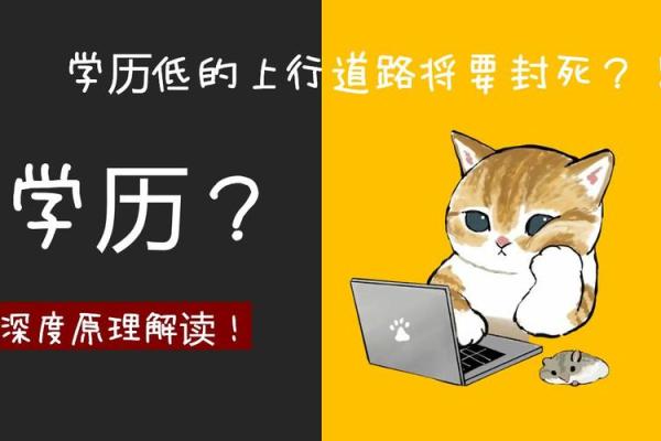 女命日柱孤寡的深层解读与命运影响