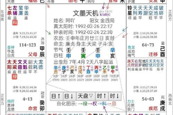 命格解析：为何紫薇星在命理学中占据重要地位