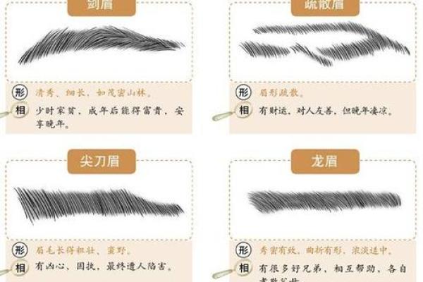 眉毛浓厚的男人命运解读 眉型与性格、运势的密切关系