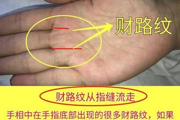 胖的人有财吗？揭秘胖人命理与财富的关系！