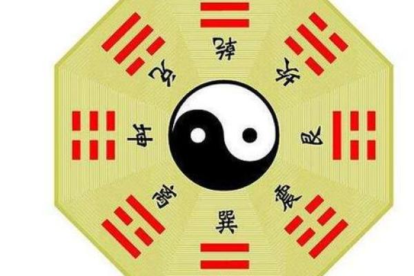 女人心脏在右边的命运：科学与命理的奇妙结合