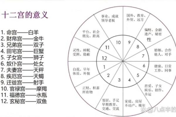 揭秘命理学中的偏财命格：如何把握财富机遇？
