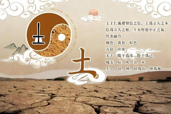 男命中食神相伴，智慧与财富共舞的命运