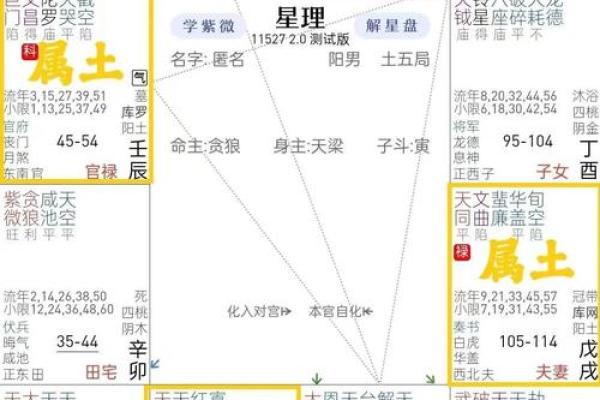 桃花星旺盛，情缘不断：命盘中的爱与魅力探秘