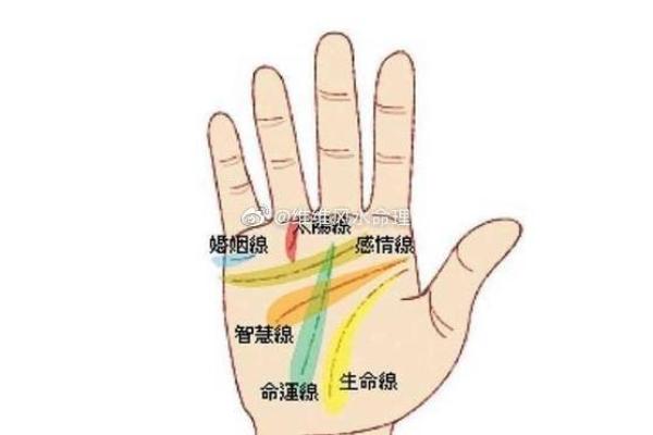 208位命理解析：揭开命运的神秘面纱，了解你的命理运势