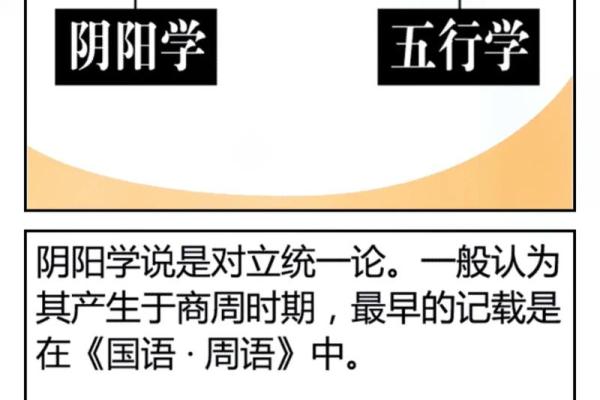 如何免费查自己五行命理，揭开命运的神秘面纱！