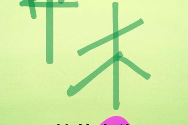 路过土命的神秘与命理解析：揭示五行中的土元素